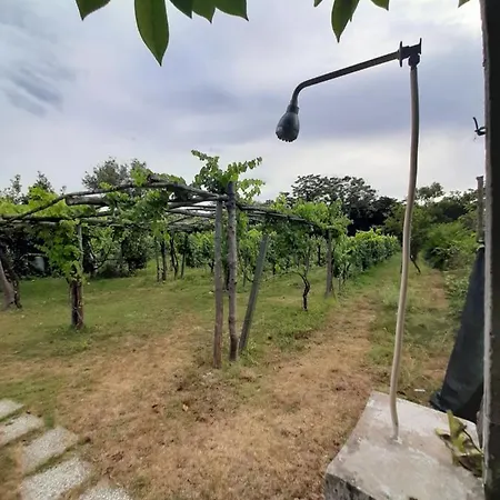 빌라 Villa Morea - Relax & Nature *