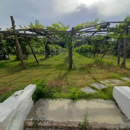 Villa Morea - Relax & Nature 프로치다