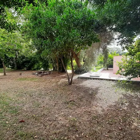 Villa Morea - Relax & Nature