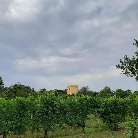 Willa Villa Morea - Relax & Nature *