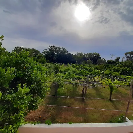 Villa Morea - Relax & Nature *